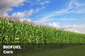 Séparation des Biocarburants